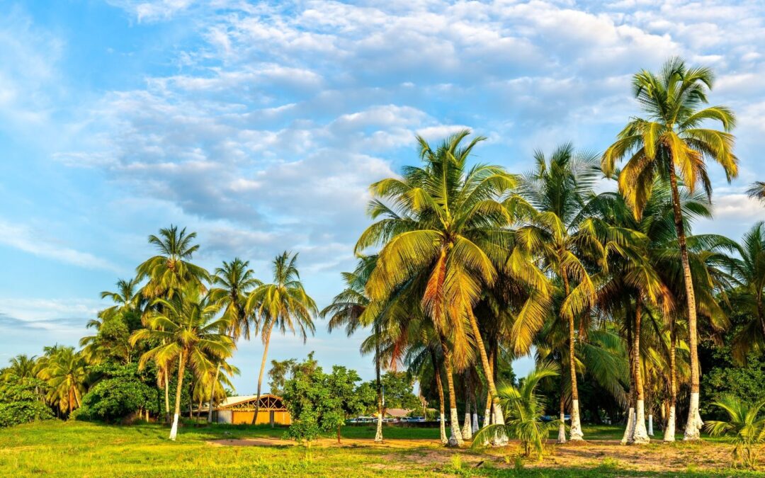 Guyane Révélée photo d'une plage