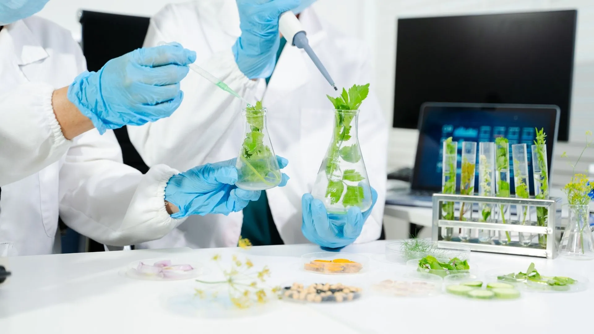 R&D recherche et dev alimentaire 